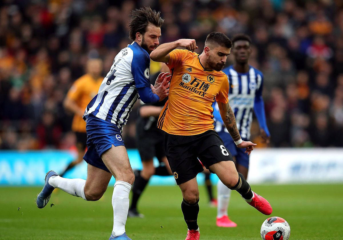 包含狼队主胜率领先伯恩利斩杀伯尼的词条